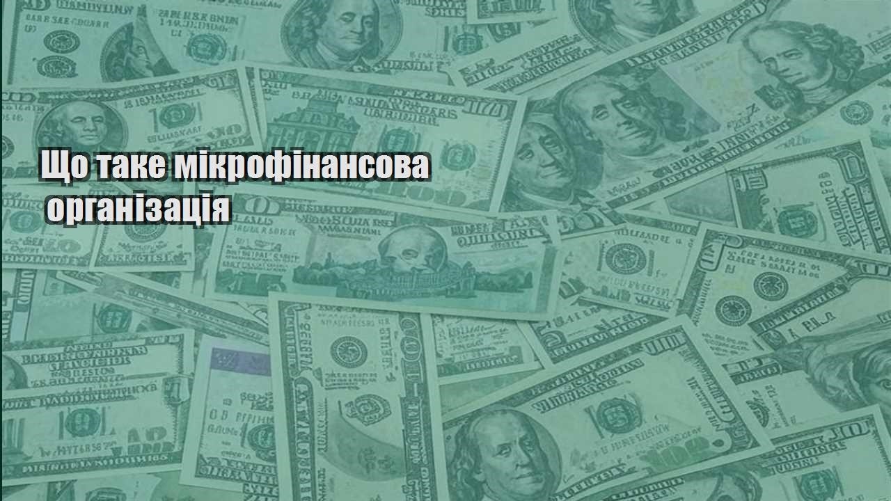 shho take mikrofinansova organizacziya