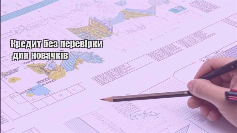 kredyt bez perevirky dlya novachkiv