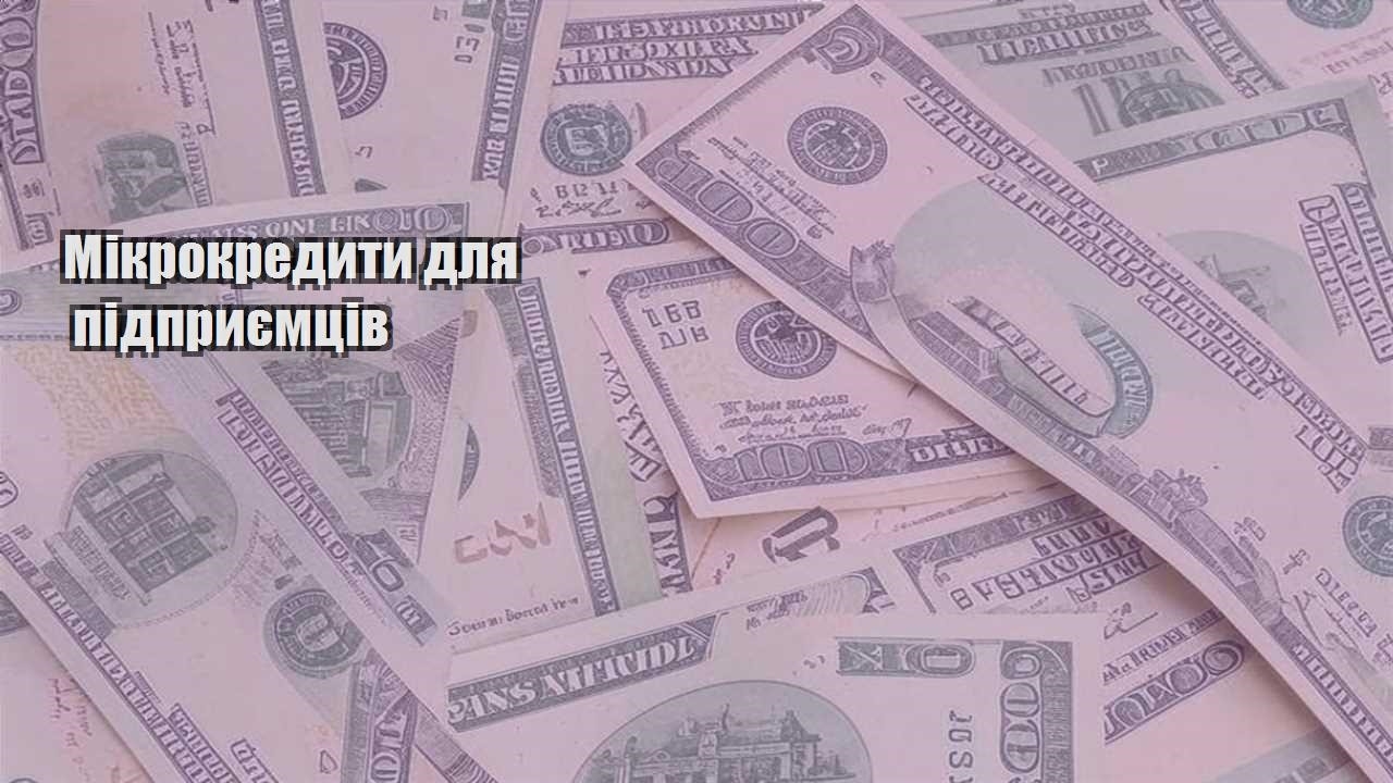 mikrokredyty dlya pidpryyemcziv