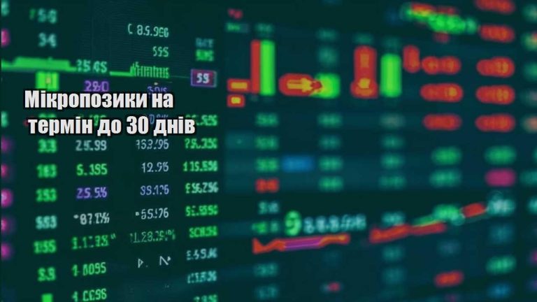mikropozyky na termin do 30 dniv
