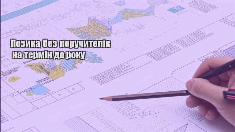 pozyka bez poruchyteliv na termin do roku