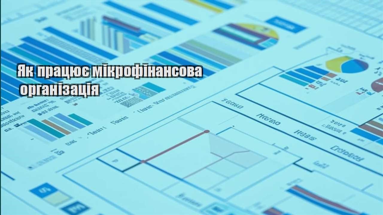 yak praczyuye mikrofinansova organizacziya