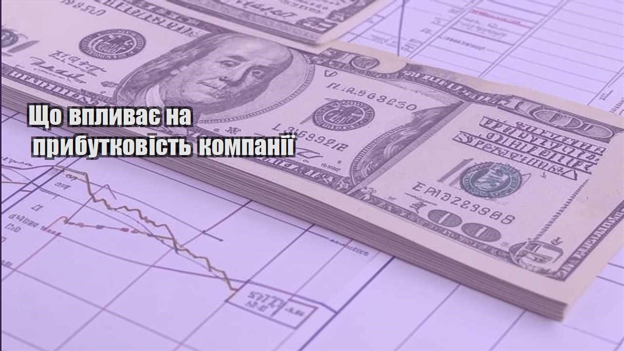shho vplyvaye na prybutkovist kompaniyi
